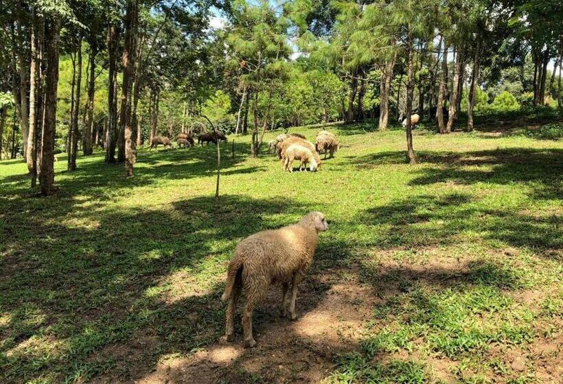 Отель Ruean Racha