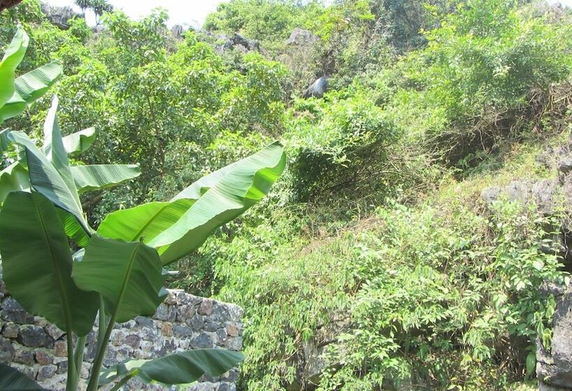 هتل Rustic Houses Tam Coc