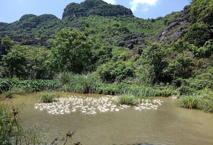 هتل Rustic Houses Tam Coc