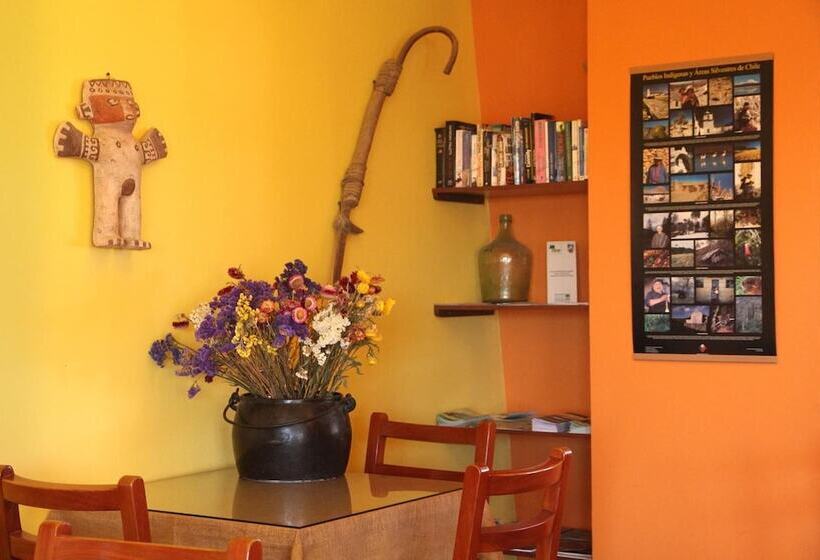 酒店 Terrace Lodge