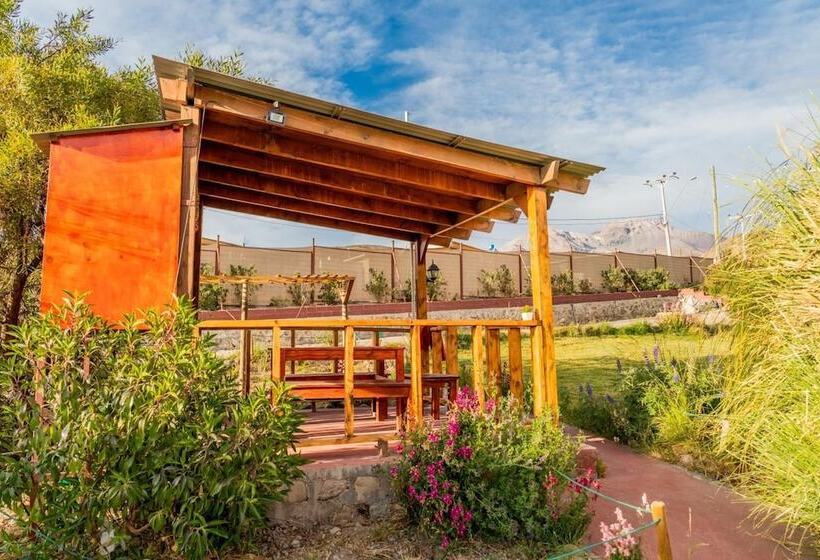 酒店 Terrace Lodge