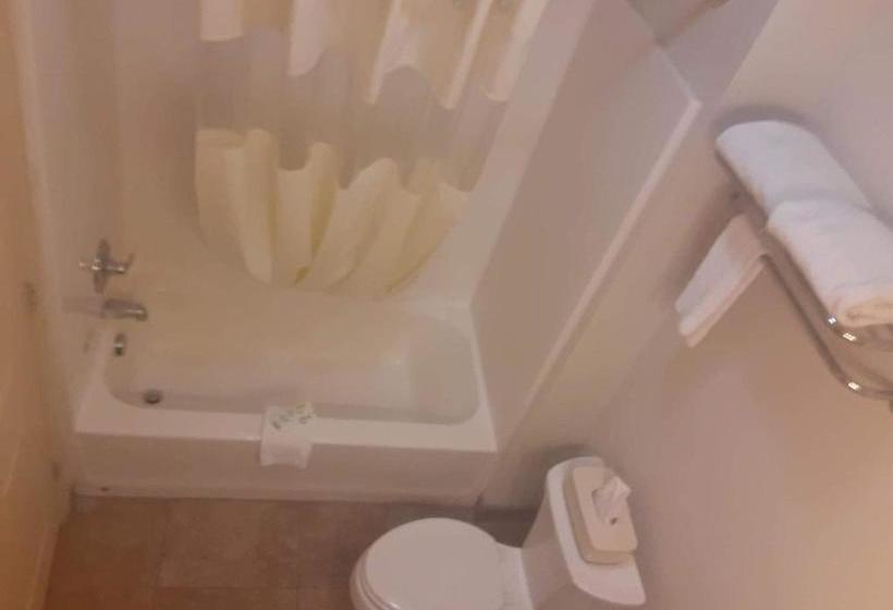 Мотель Big Lake Inn And Suites