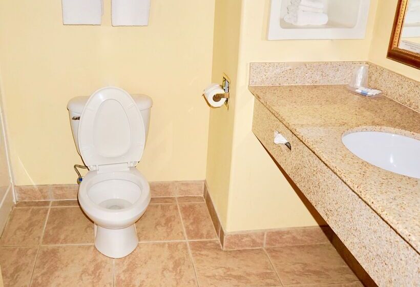 فندق على الطريق Texan Inn