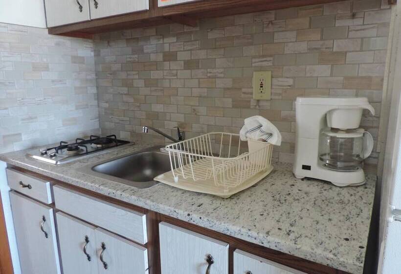 Panoramic Motel & Apartments