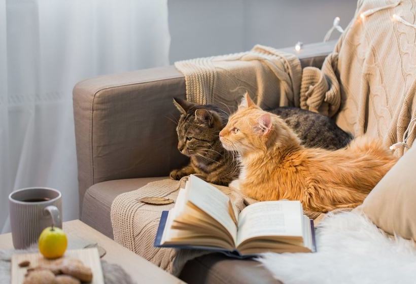 بنسيون Candlewycke Inn