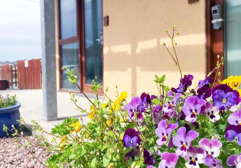 펜션 The Beach Motel