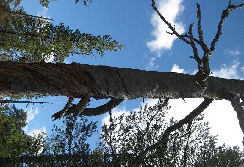 Sälens Vandrarhem I Gräsheden