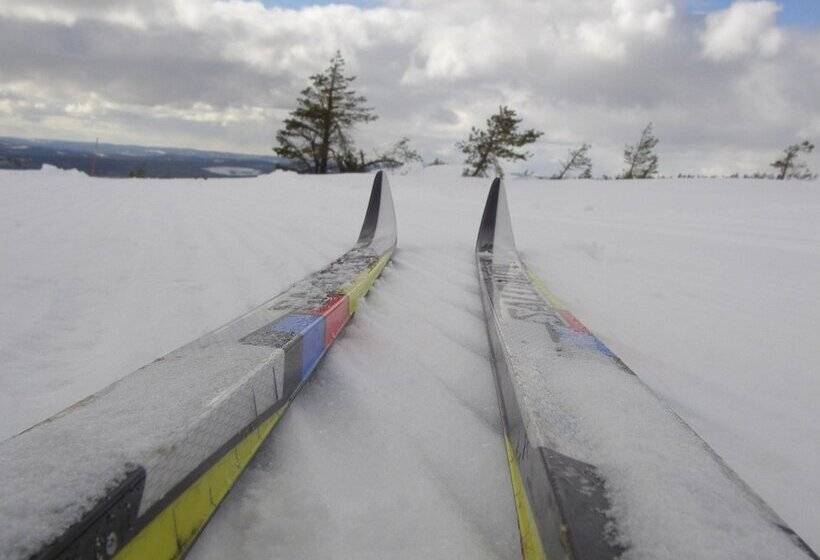 Sälens Vandrarhem I Gräsheden