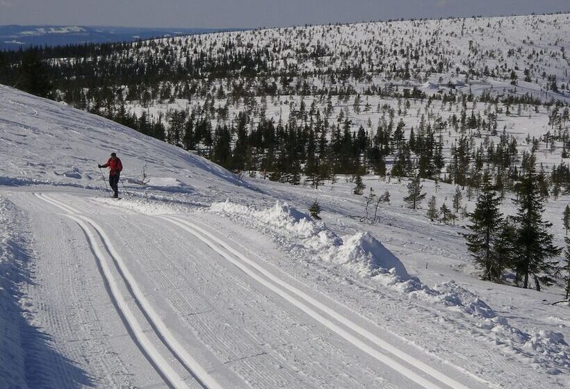 Sälens Vandrarhem I Gräsheden