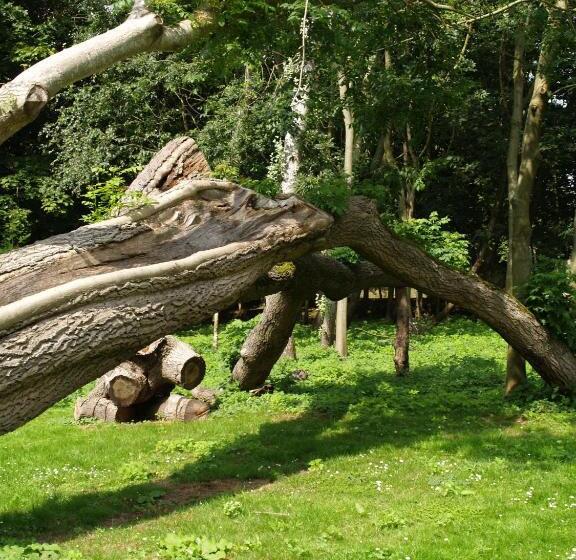 The Olde Windmill Inn