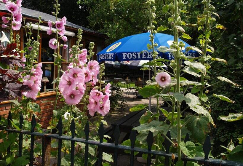 The Olde Windmill Inn