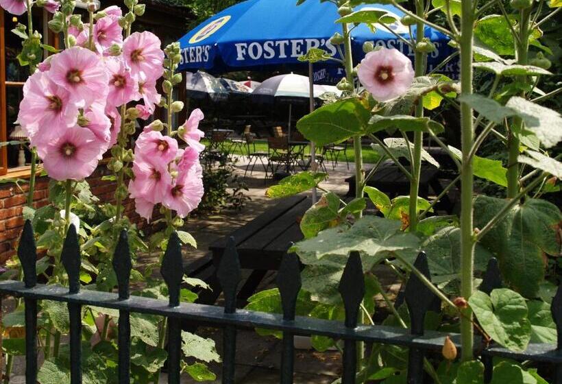 The Olde Windmill Inn