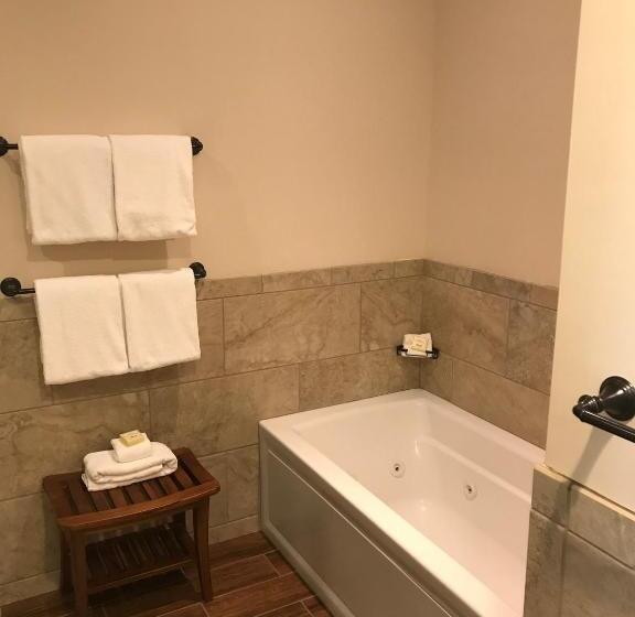 Village Hotel On Biltmore Estate