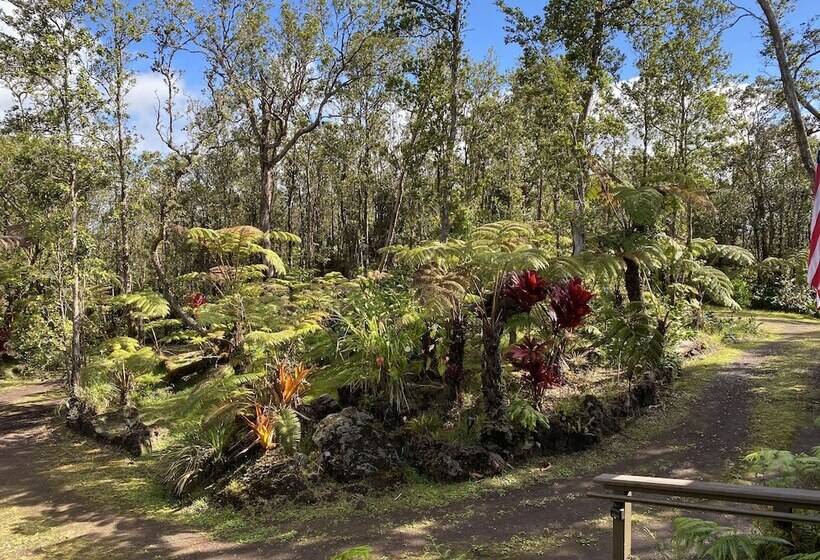 Volcano Rainforest Lodge