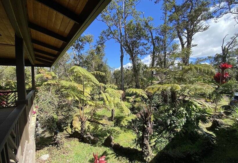 Volcano Rainforest Lodge