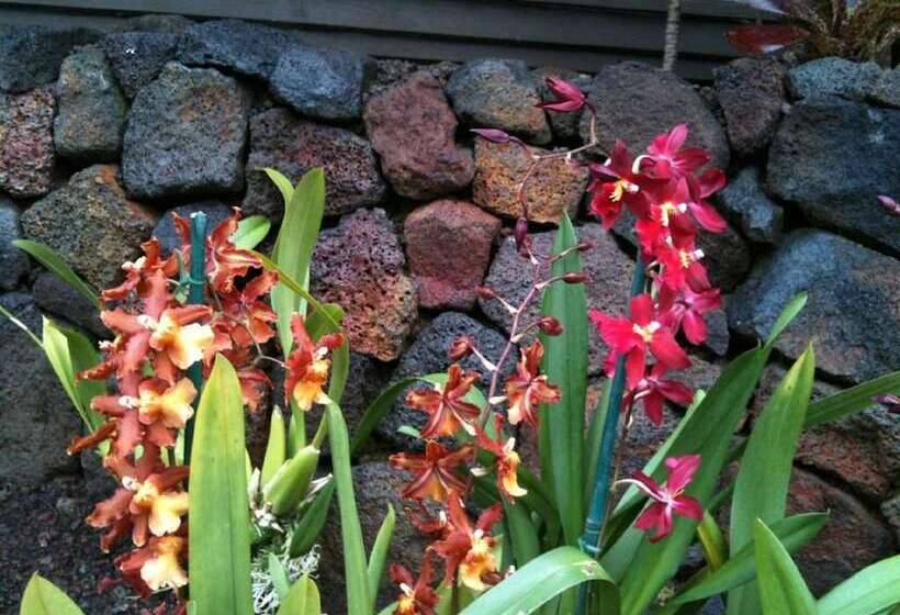 Volcano Rainforest Lodge