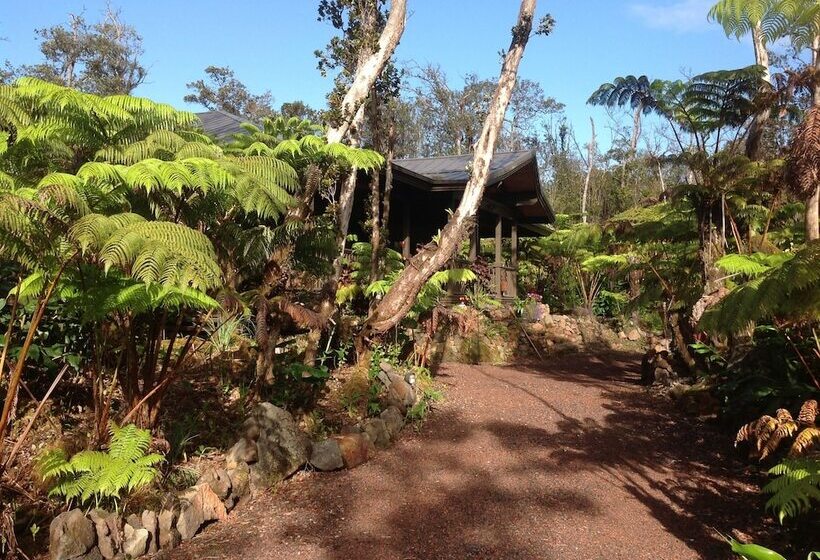 Volcano Rainforest Lodge
