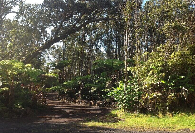 Volcano Rainforest Lodge
