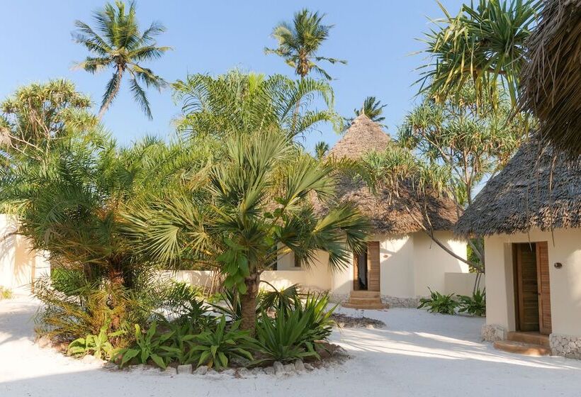 Zanzibar Pearl   Boutique Hotel & Villas