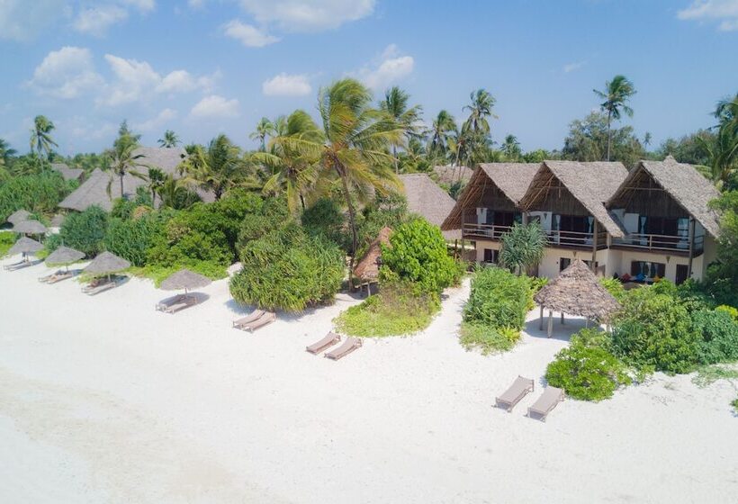 Zanzibar Pearl   Boutique Hotel & Villas