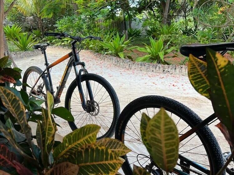 Zanzibar Pearl   Boutique Hotel & Villas