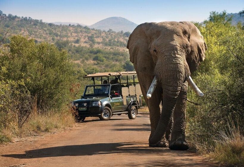 בית מלון כפרי Bakubung Bush Lodge