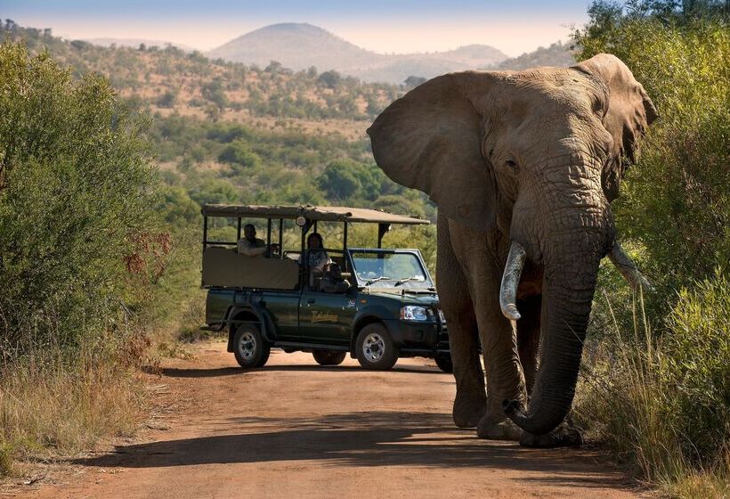 בית מלון כפרי Bakubung Bush Lodge