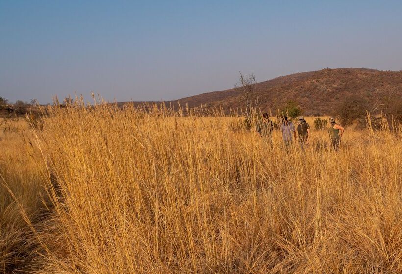 酒店 Bakubung Bush Lodge