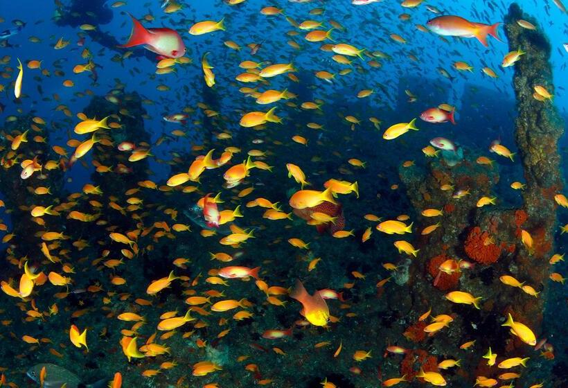 בית מלון כפרי Blue Marlin All Inclusive Seascape By Dream Resorts