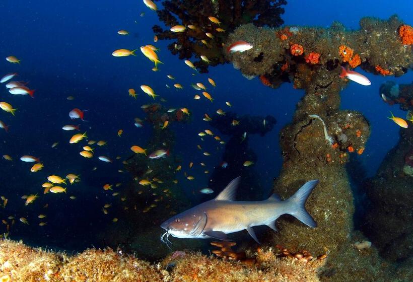 בית מלון כפרי Blue Marlin All Inclusive Seascape By Dream Resorts