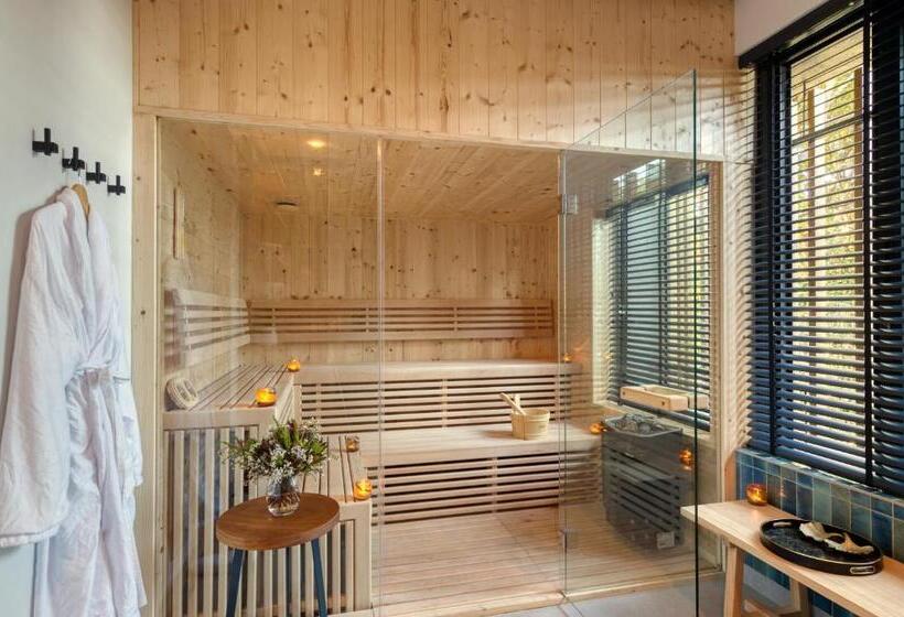 فندق Grootbos Private Nature Reserve