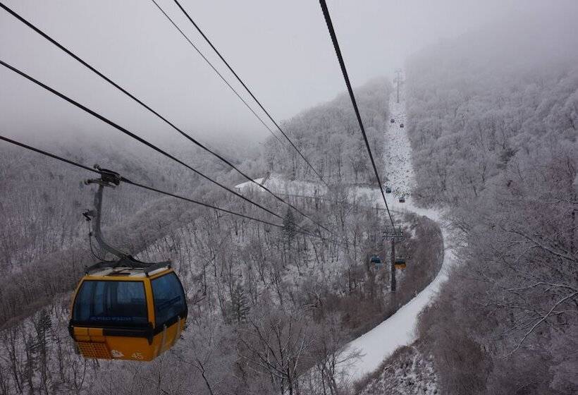 ホテル Mona Yongpyong