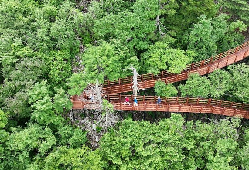 ホテル Mona Yongpyong