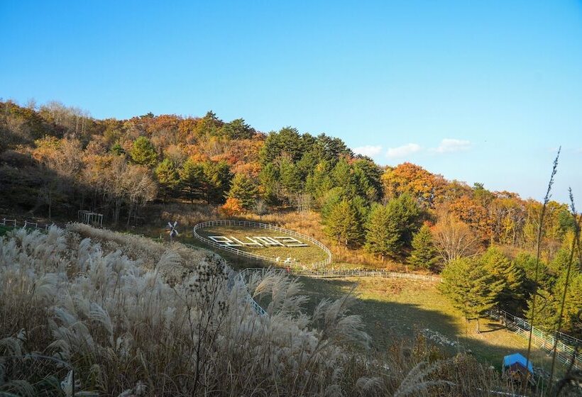 ホテル Mona Yongpyong