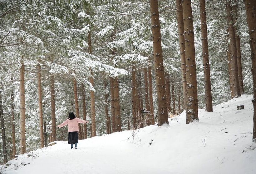 ホテル Mona Yongpyong