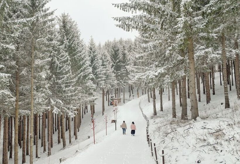 ホテル Mona Yongpyong