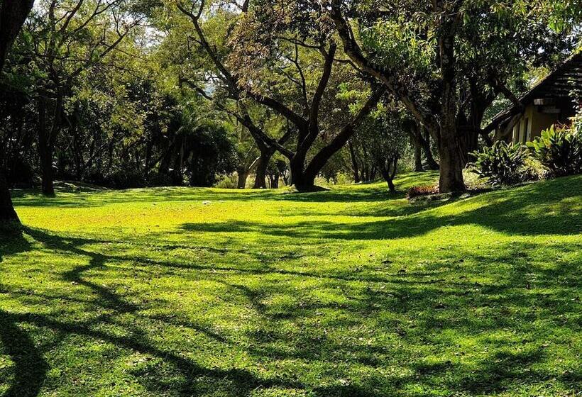 Отель Sabi River Sun Resort