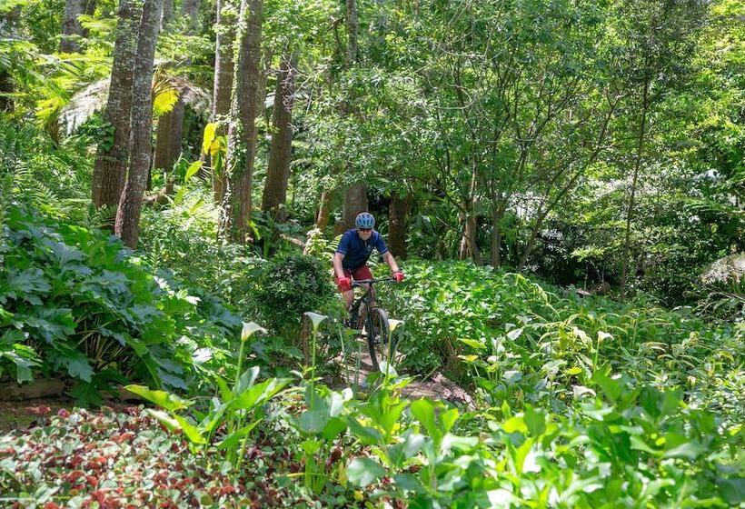 Отель The Cellars Hohenort