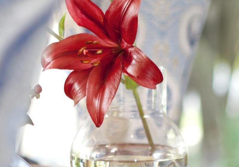 ホテル The Lodge L Avenir