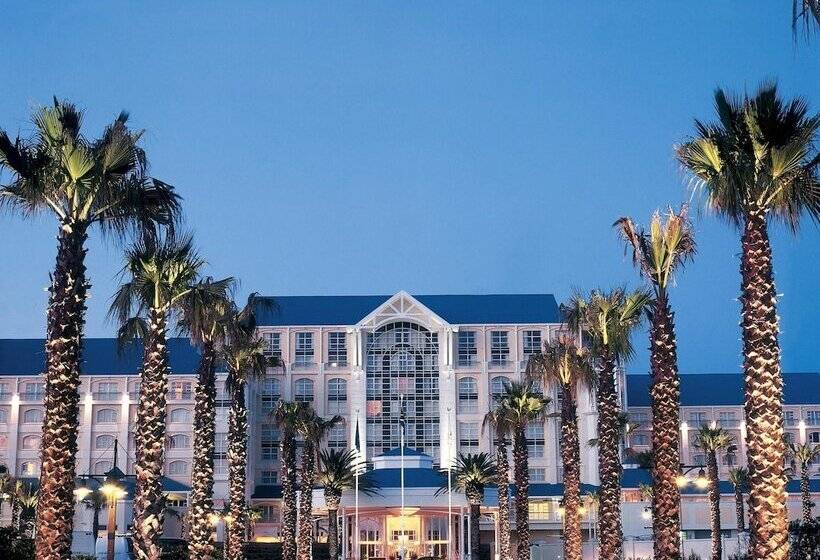 Отель The Table Bay