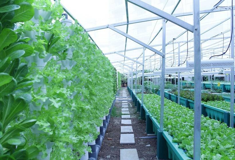 Swissotel The Stamford Singapore