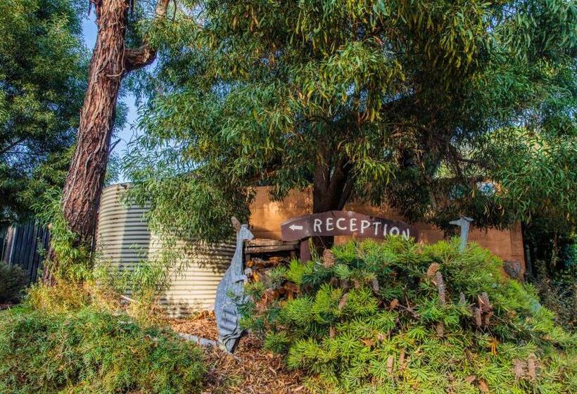 호스텔 Yha Grampians Eco, Halls Gap