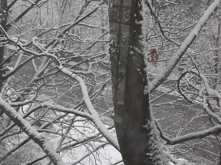 Bed and Breakfast Niagara Grandview Boutique