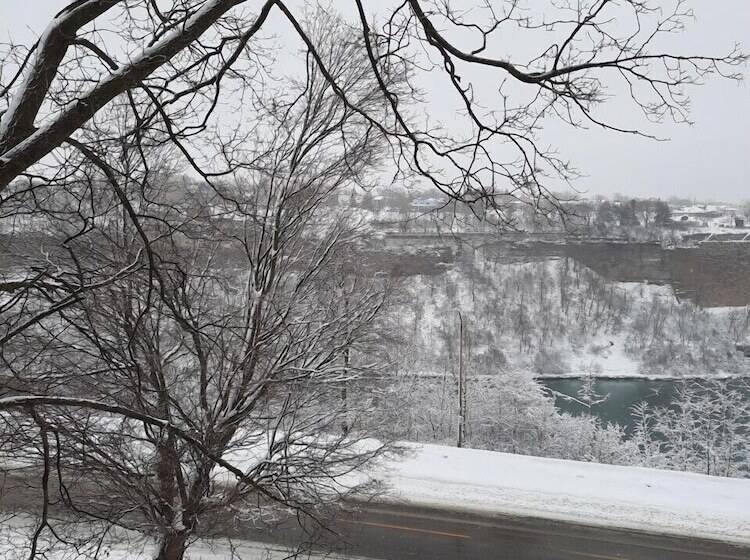 تختخواب و صبحانه Niagara Grandview Boutique