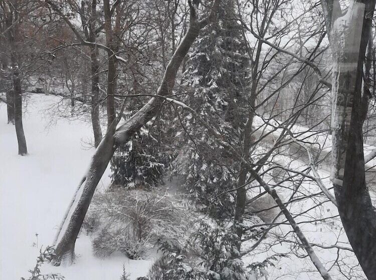 Bed and Breakfast Niagara Grandview Boutique