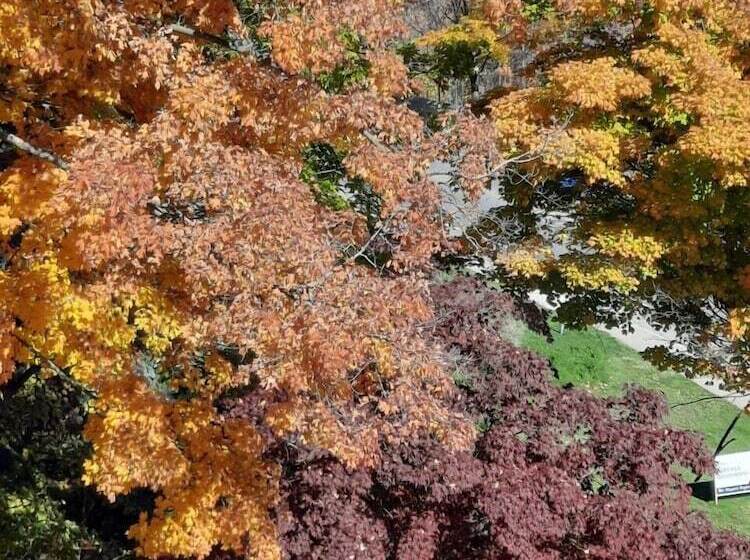 Bed and Breakfast Niagara Grandview Boutique