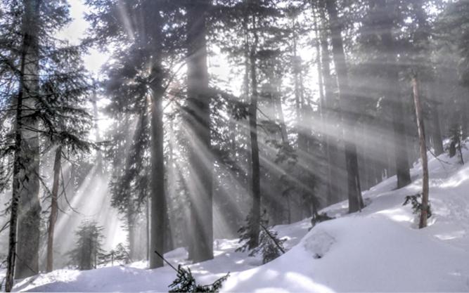 צימר Tranquility Bay Waterfront Inn