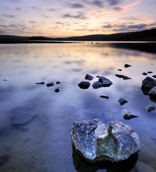 פונדק Beck Hall