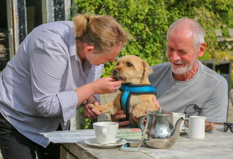 פונדק Beck Hall