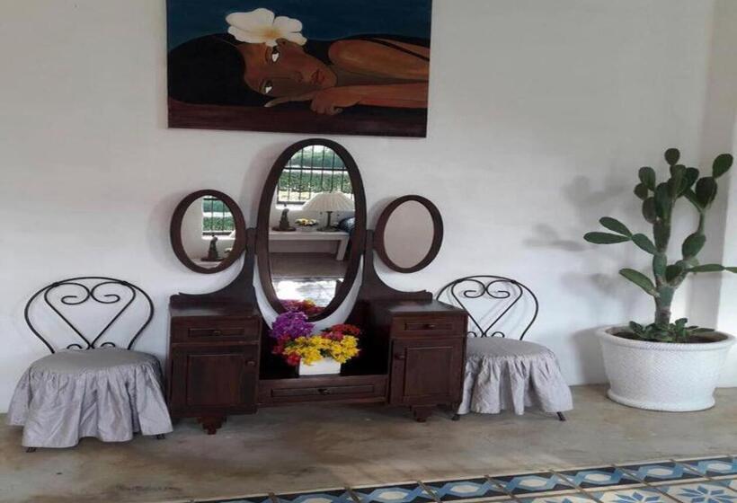 ホテル Brassiere Beach